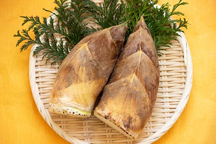 人気の「たけのこ」が入荷!