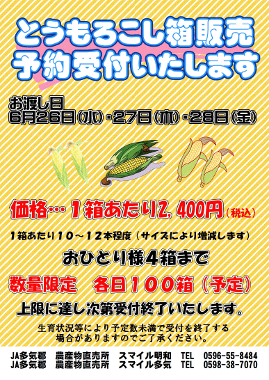 とうもろこしの予約販売を実施いたします！